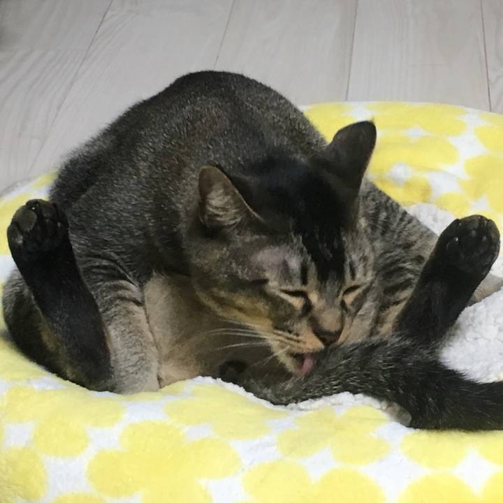 2da5fadd 6820 4b58 836b fc06db5e2c5b