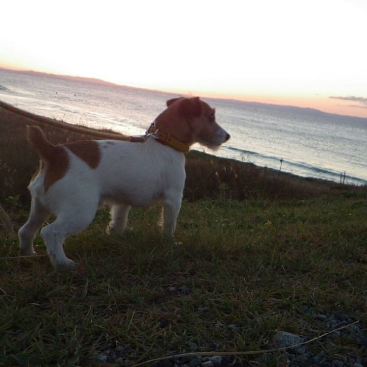 2da6215b e056 46ba 8fd4 dae5b9bf1529