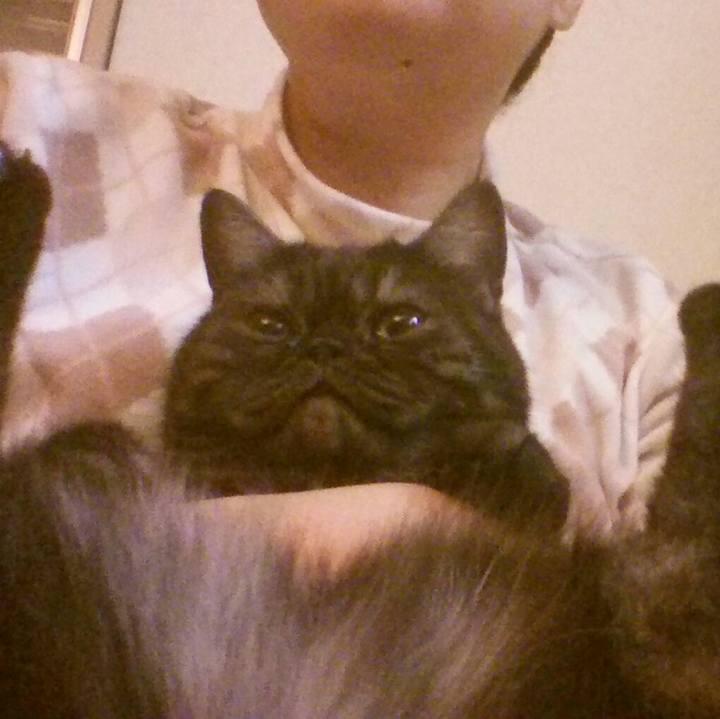 2da63cd1 01df 45f7 adc5 f8f942a284ce