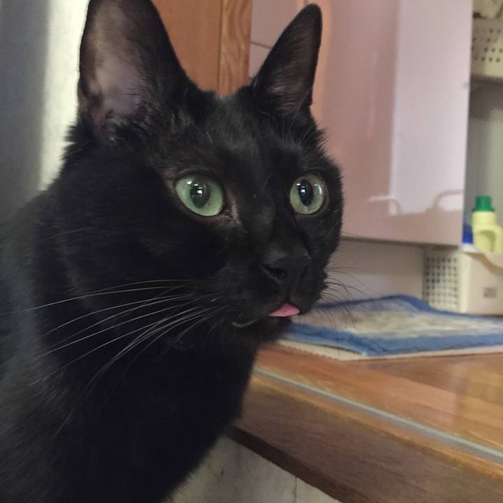 2da6c6aa dcfd 4514 9a71 d110c4715293