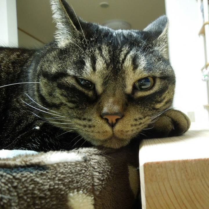 2da770b9 ed98 40fb 9998 a09f82d5afa9