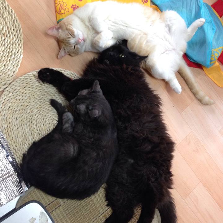 2da7ac4e 66f9 408e b002 e7775b769ab0