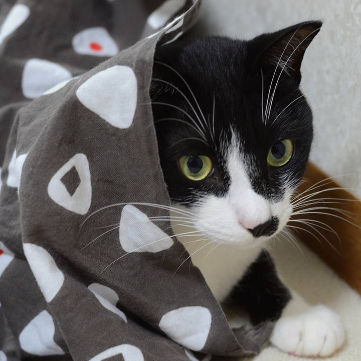 2da7be04 26a9 48c5 a366 76bd35b08929