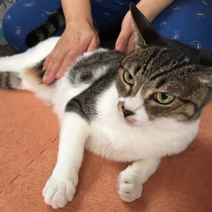 2da7f40c 09a0 4157 b8bf cf077a513807