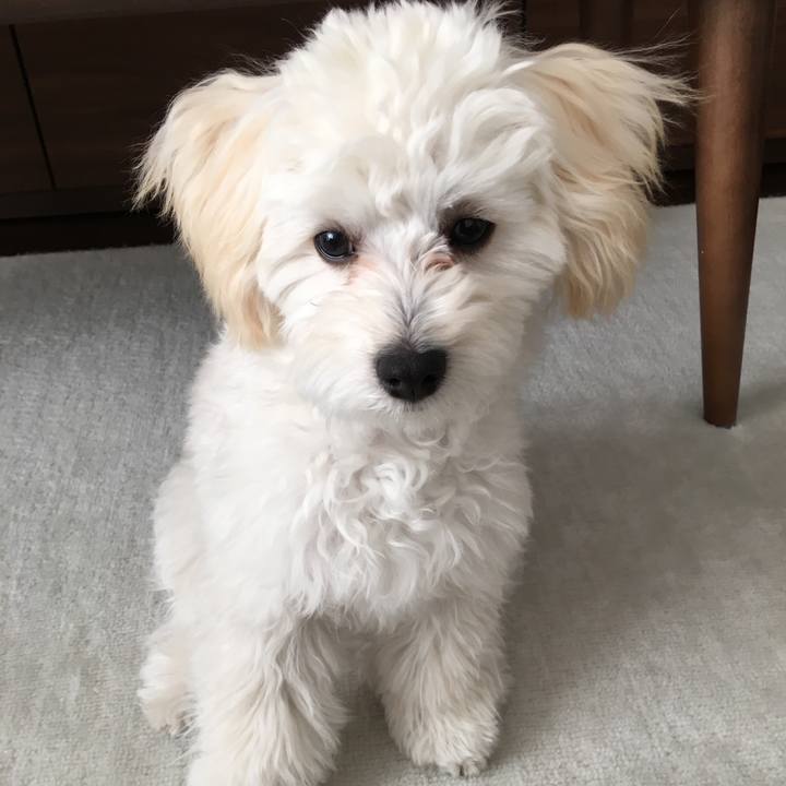 2da7f7f5 6e22 4f88 b7ca f9f0dc535c35