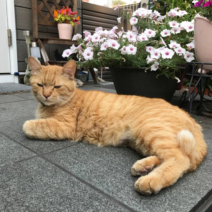 2da826c1 b51b 4c5a 9a7b 1b0e8aa4ce9f