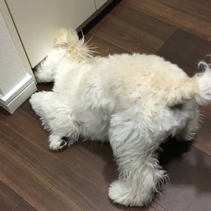 2da94961 1f95 401c aef2 3ab9e94e91fc