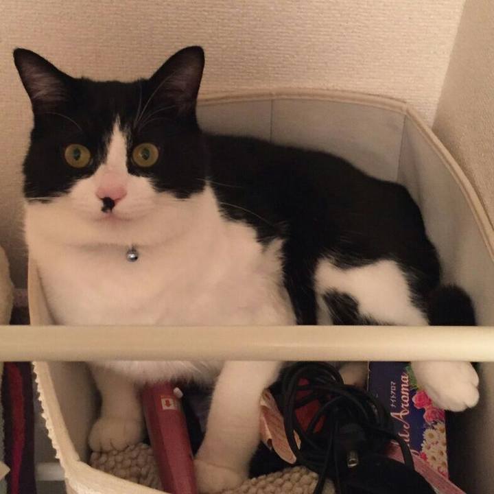 2da96274 e59b 4d8b 9ca3 8621f8e73a72