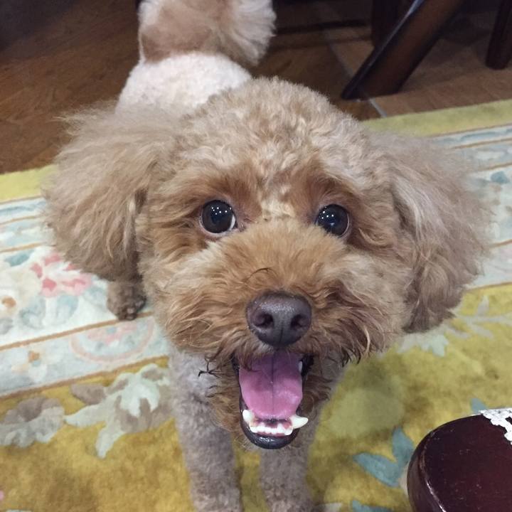 2daa9910 f91f 4a09 b0dd d08472d02b54