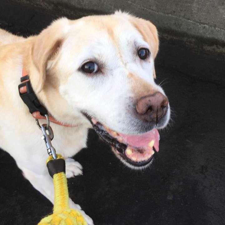 2dab0246 cef0 4542 bb87 be5176a82805