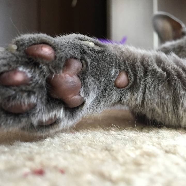 2dac9177 3835 4bfc 9bc3 2dd522bf8831