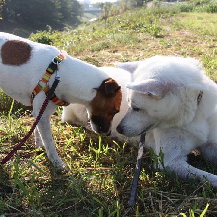 2dac9df1 30ae 4125 8ceb 021c76ef3dc2