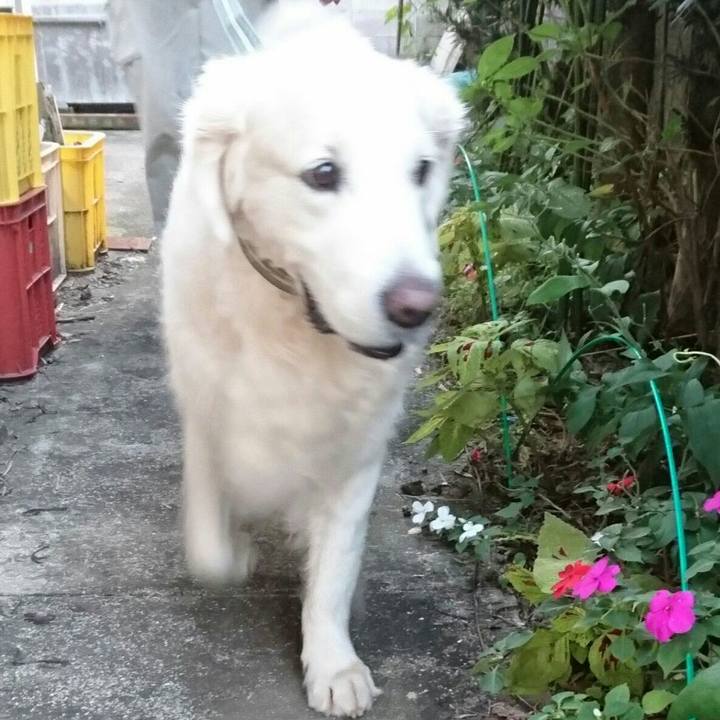 2dad330c fce1 48ac b359 03a08d4e9989