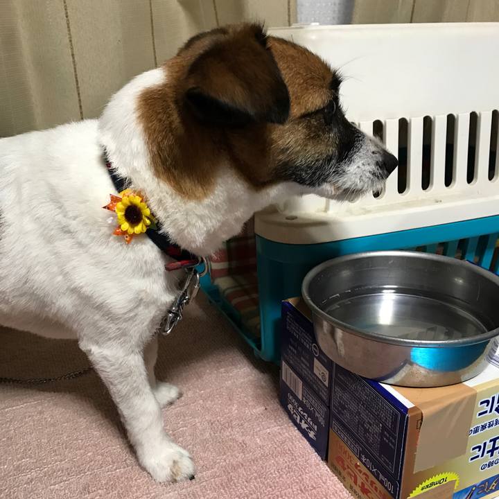 2dad7b59 559c 41cb a31c 4357e6142403