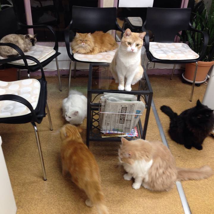 2dad7e01 2c81 45fc a1ef 39a1fd867737