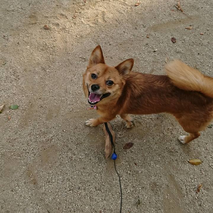 2dadd6c2 da7d 4220 b548 90c26a3684f3