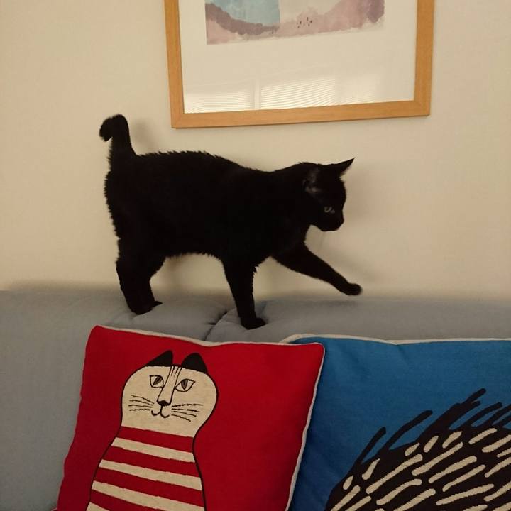 2dae614e 7acd 40e8 b80a d704b9e80fd3