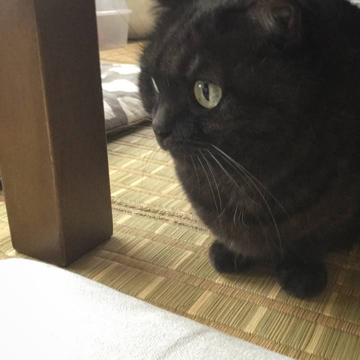 2daea17b 9ae8 4b6f 8b8a e4cb5ff0b182