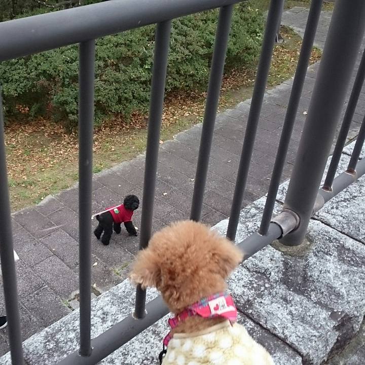 2daf5594 9a5a 4982 8542 6569aca155fd