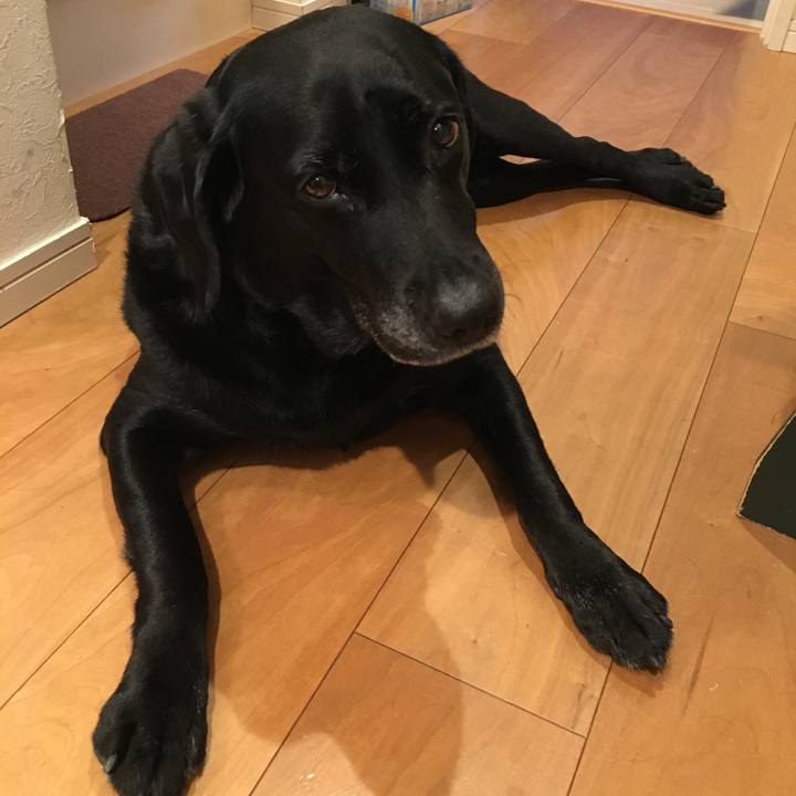 2daf8504 43f9 43e7 873c ed613362f509