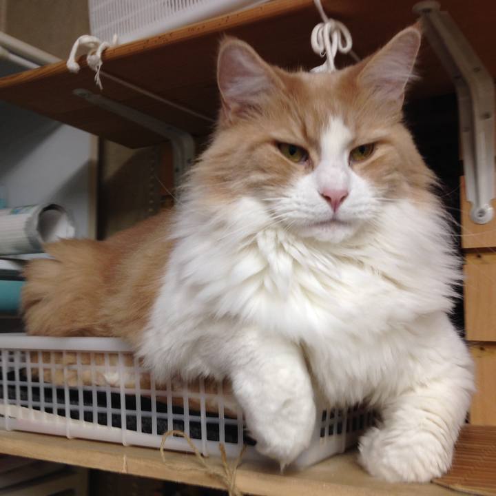 2daf9fc6 3ca6 4f30 894c 76d702bdee3f