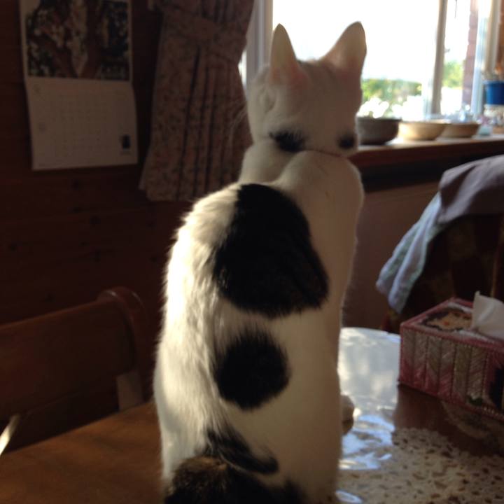 2dafbef6 0c38 439d 8513 8cfc47a97aeb