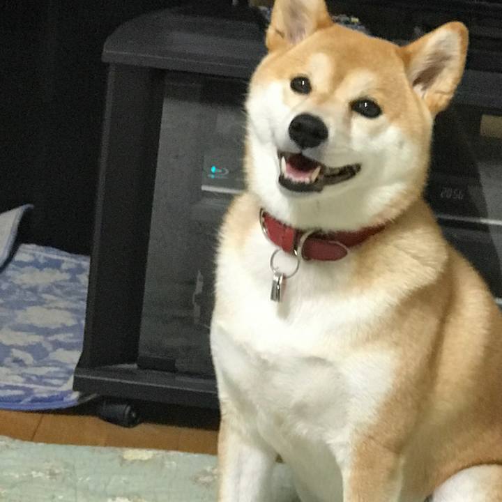 2db004b7 d7fb 4655 8ae1 38cd30a8f210