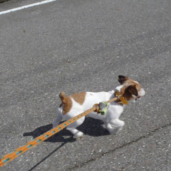 2db09b98 60ac 4161 b2f7 c2fca2995a26