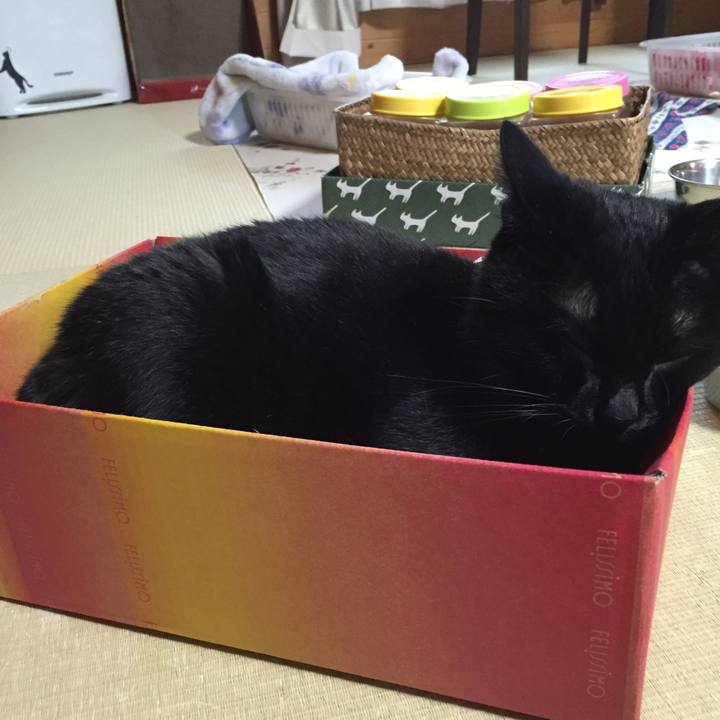 2db0a5dd 0bf0 4871 93a6 ca8a009b676d