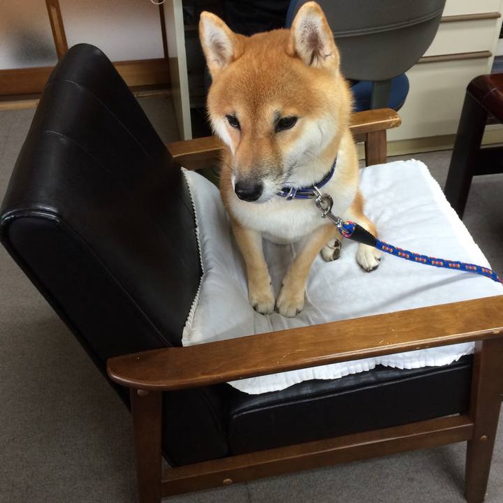 2db11dd6 52ba 453f a1d7 cc6a285e378c