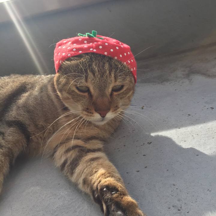 2db16577 5b7e 492b bf9e 56abb9ff2b78