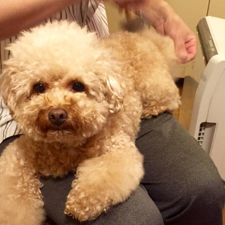 2db17635 166b 4fd1 9d69 d26e55a9a5fa