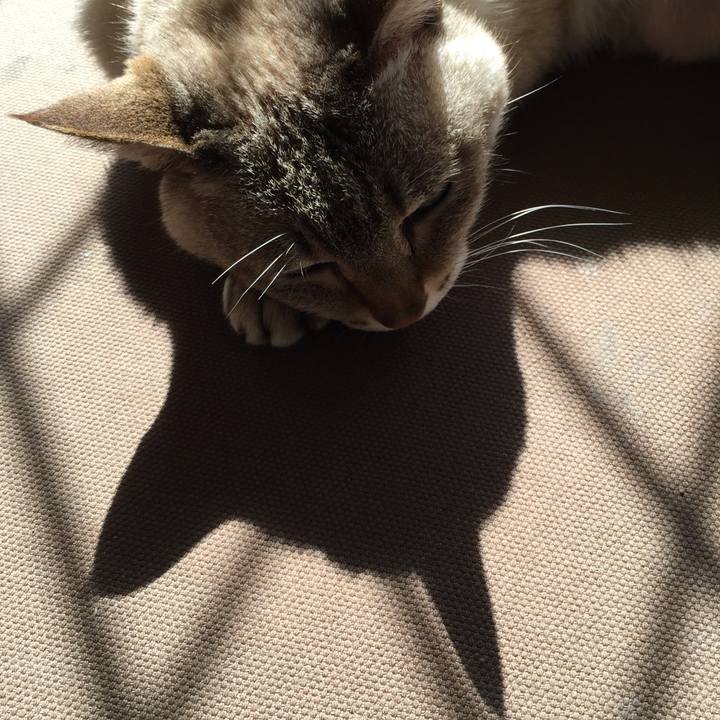 2db18822 1400 495d 896d d18d07c1d578