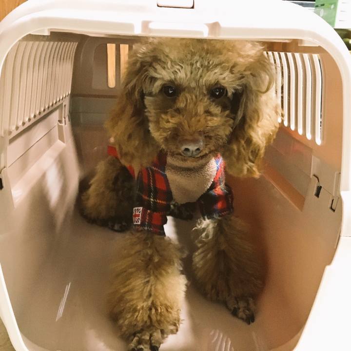 2db1dbad 03ec 419a a5ed dcb79d94b7d9