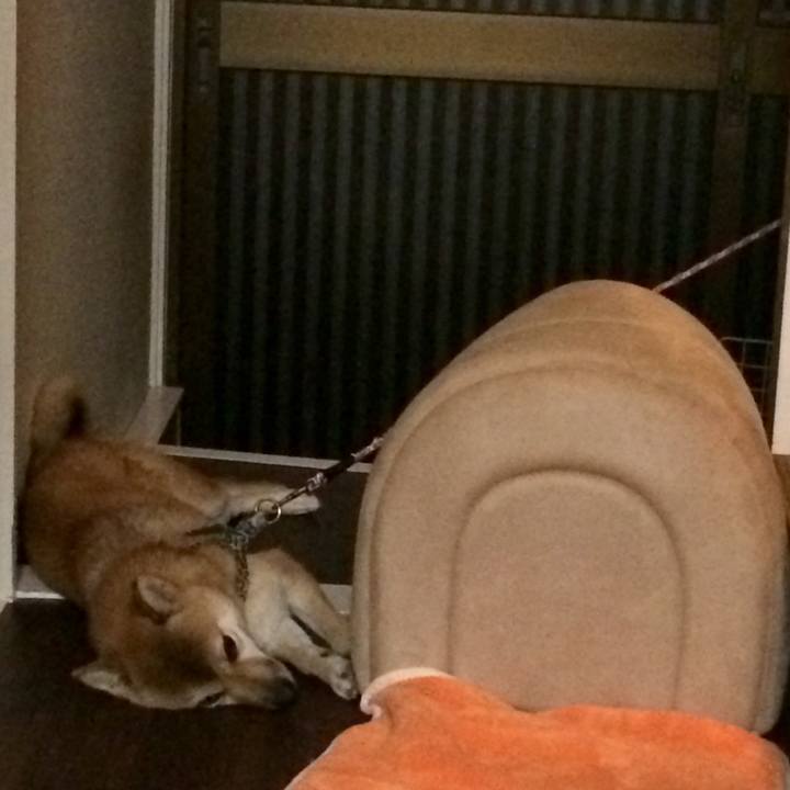 2db2422b 71d4 4e97 b506 f9e55474ff01