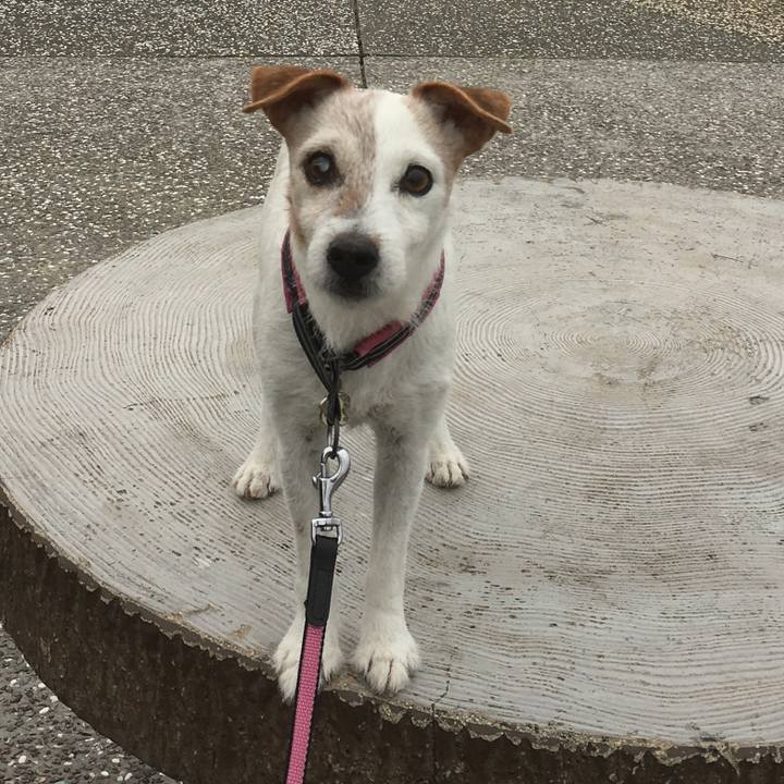 2db26f3c 64c3 4c0c 96cb ddf9d08555a4