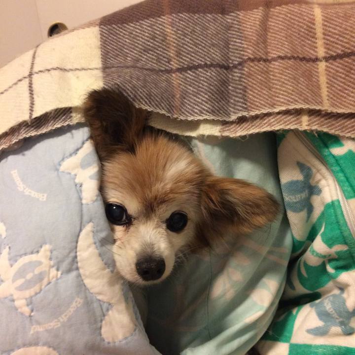 2db2b637 b083 49f9 ae8f 6a1003e831e9