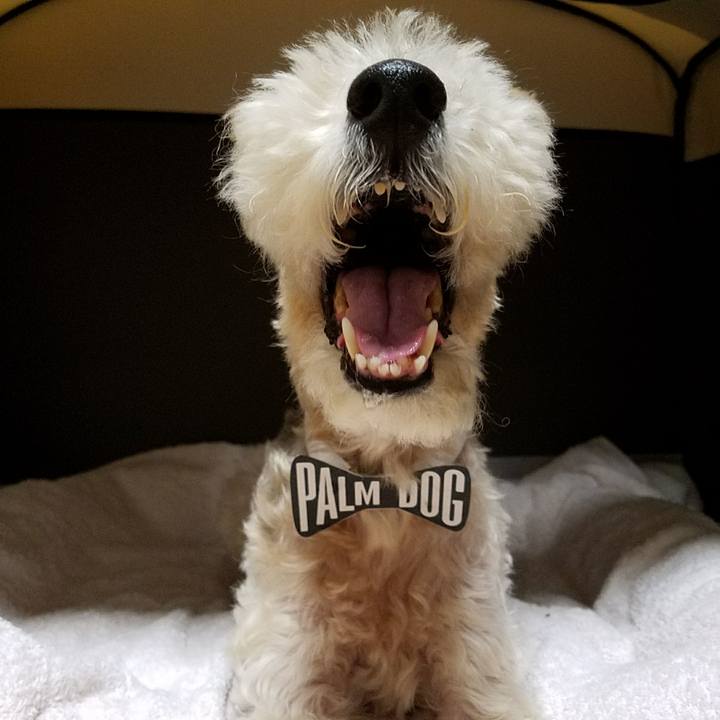 2db2db4f 504d 41dd 85be e04ea2d0a755