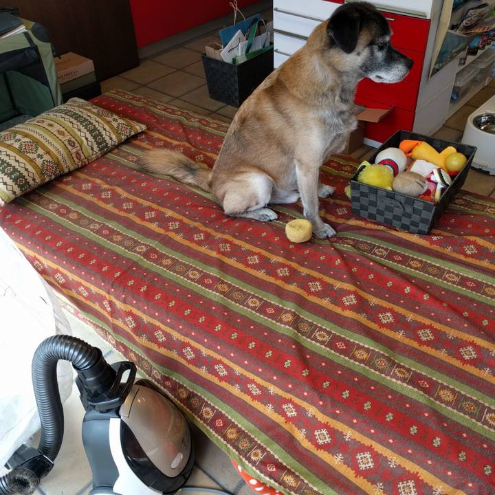 2db432d4 c46e 4f39 9446 595da6779715