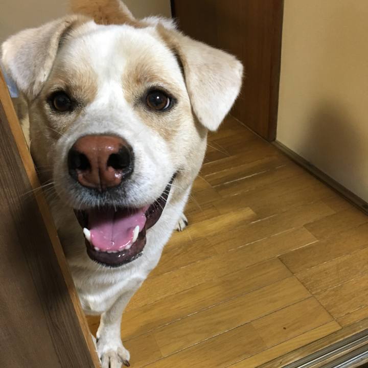 2db43abf 825d 44ce af50 fc888d949448