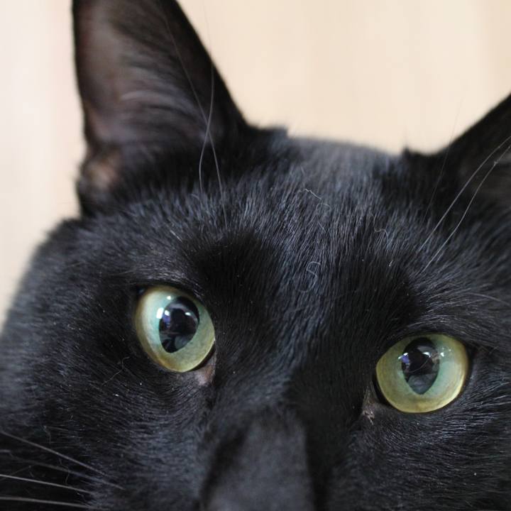 2db440dc ff4f 4368 9841 f0e6c1ba36f6