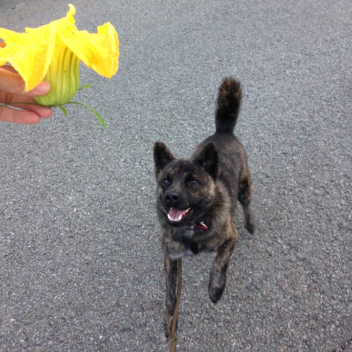 2db4f6b1 e9bc 4448 8b13 e76c25002384