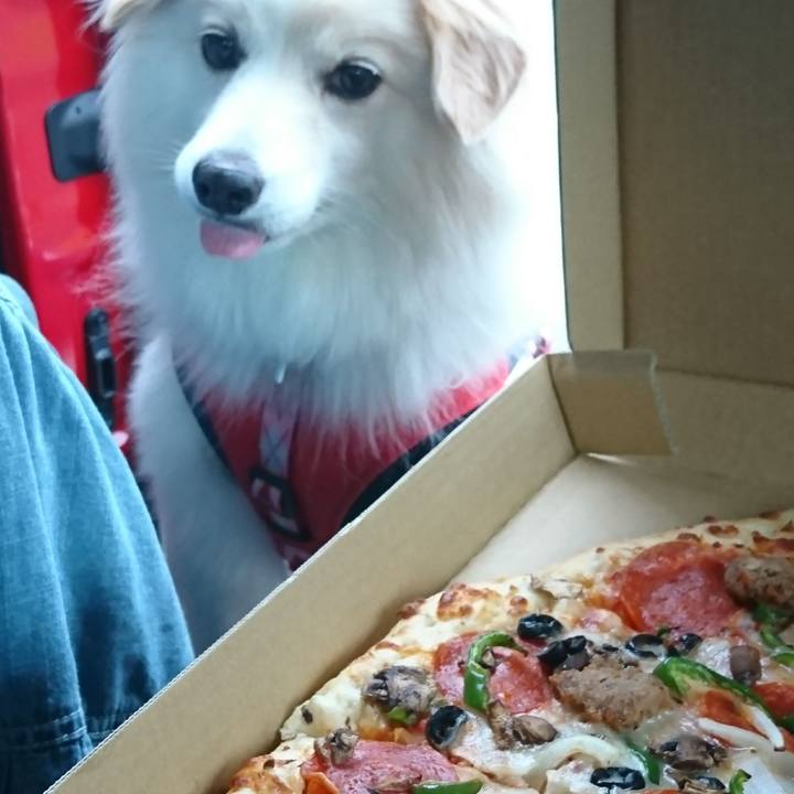 2db59890 54be 4aee b546 66c60f64ce23