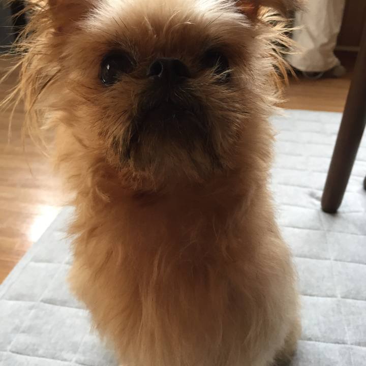 2db5b650 b8ed 481d ab2c d4b61fd7198d