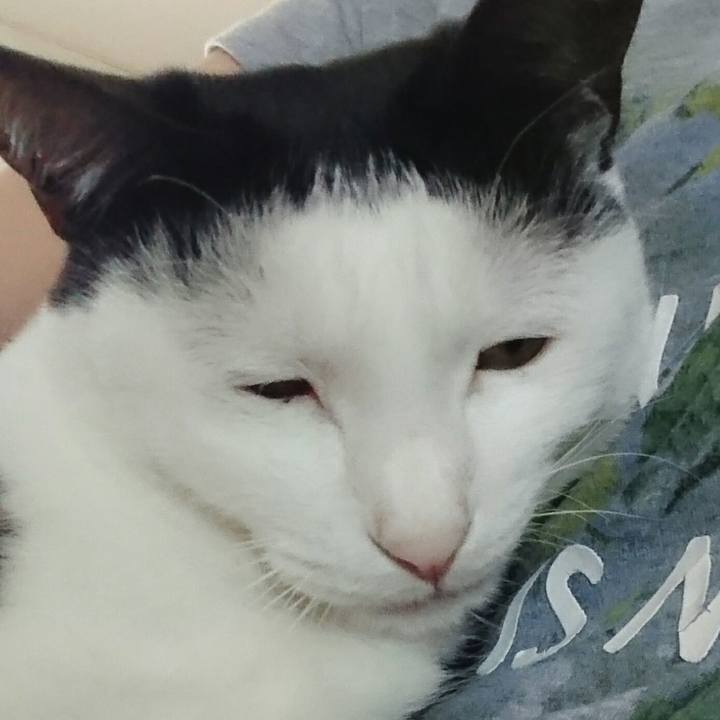 2db633b3 749d 4a33 a444 0caaef83246a