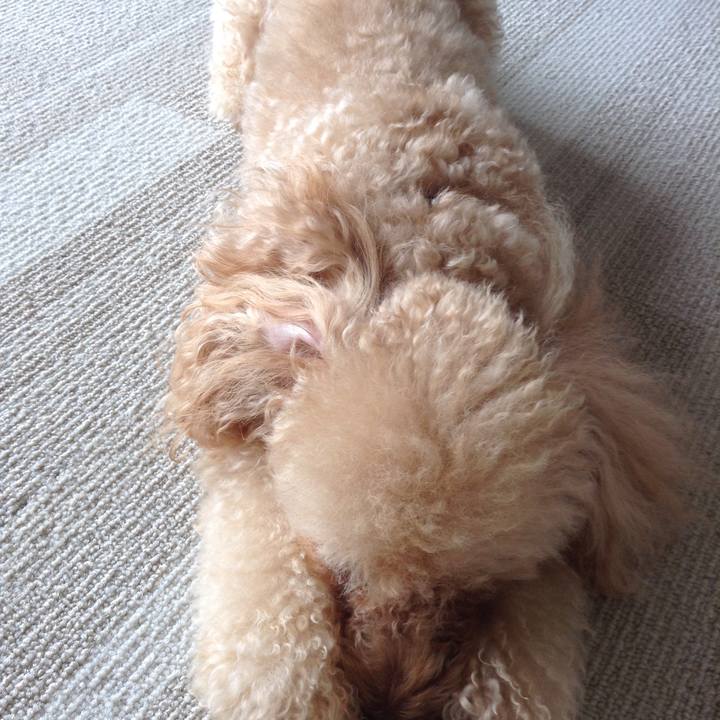 2db64d92 292f 42f5 b157 9a0548b85432