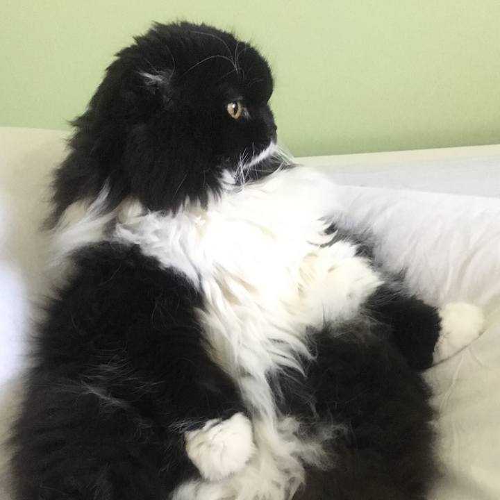 2db6b94f 0c98 4c2b af59 c7f73586522b