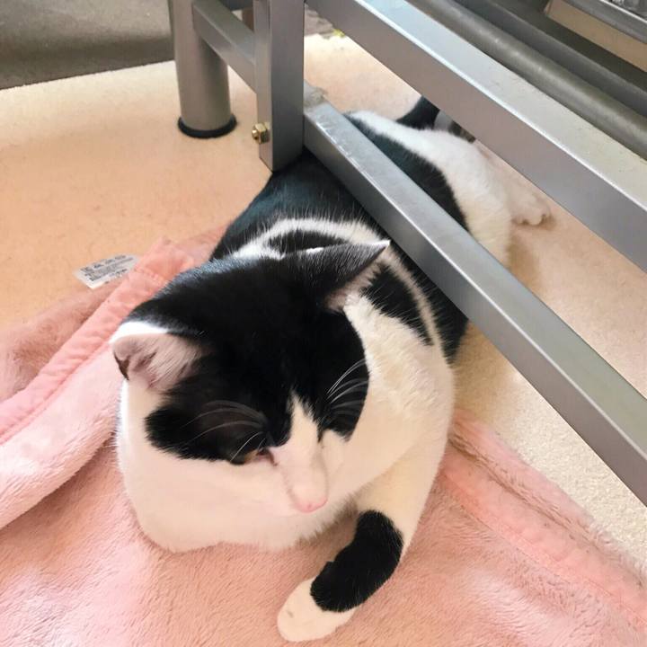 2db6fb30 54b5 4a1f 9ead 811c92a30cb5