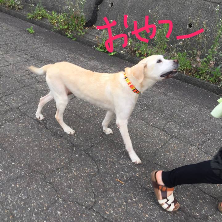 2db7468a 572e 4a58 a7c7 cad5c24eaf38