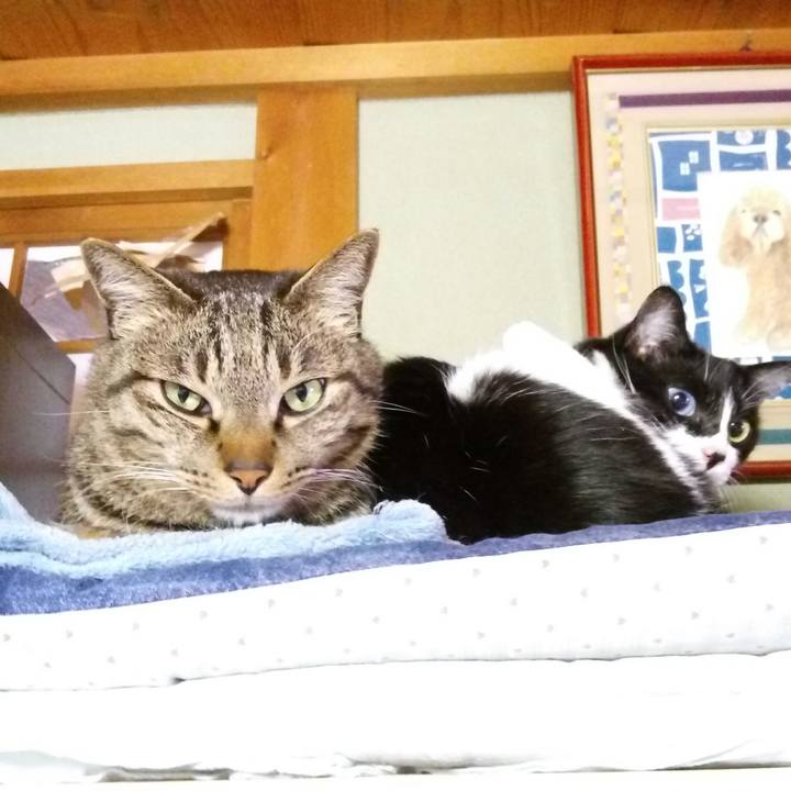 2db78d29 0f7e 401c 9e44 973fbbd25d61